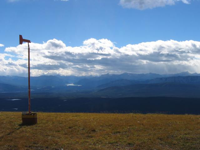 Looking West